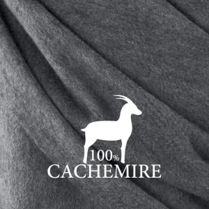 Écharpe cachemire - Gris*CXLbyChristianLacroix Fashion