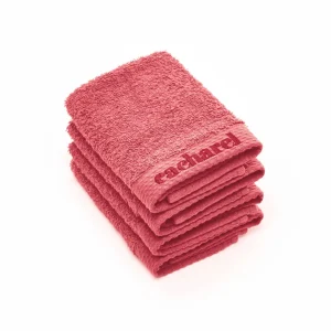 4 serviettes d'invitées - 30 x 30 cm*Cacharel Online