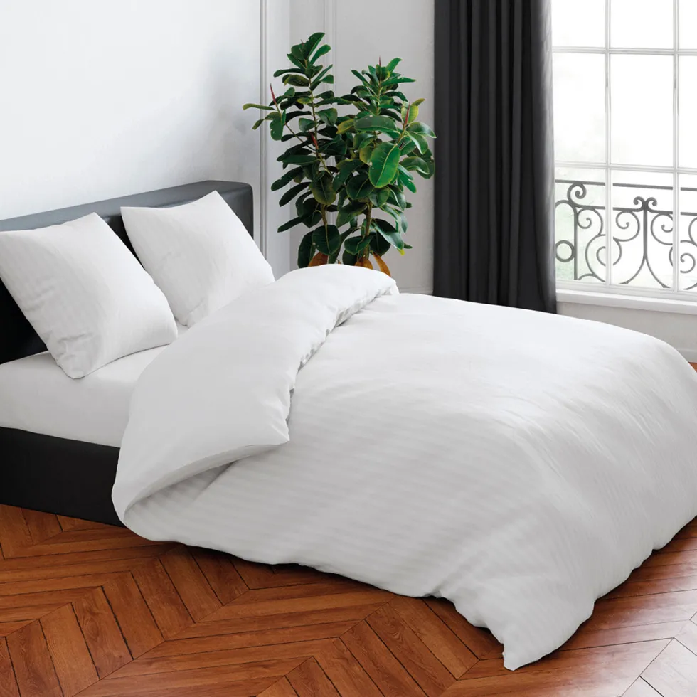 taies_doreiller__blanc_ra_1.webp TAIE(S) D'OREILLER - Blanc rayé*CXLbyChristianLacroix Online